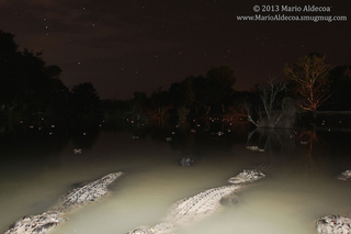 Illustration for article titled DSLR Stolen By An Alligator Was Rescued After Eight Months